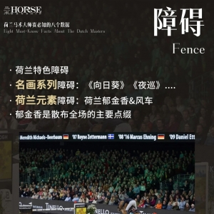 直擊荷蘭TOP室內賽：八大數(shù)據(jù)解鎖荷蘭馬術大師賽