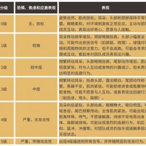 別讓你的馬“忍辱負(fù)重”！讀懂馬的疼痛、刻板行為與應(yīng)激
