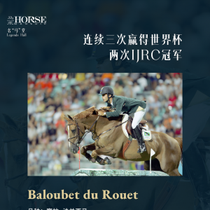 “人馬合一”的奇跡，是靠馬的天賦還是騎手的技巧？